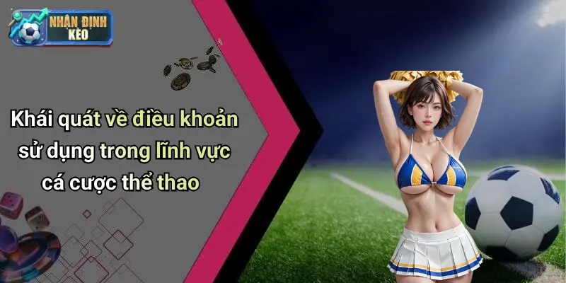 Khái quát về điều khoản sử dụng trong lĩnh vực cá cược thể thao