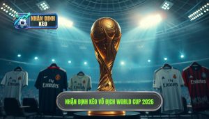 Đội nào có cơ hội vô địch World Cup 2026: Phân tích chuyên sâu từ chuyên gia